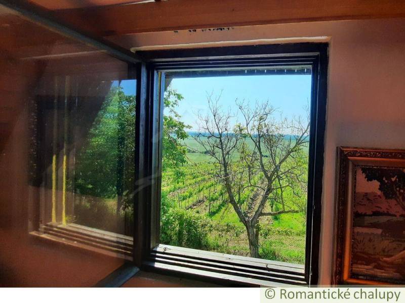 From the cottage, there is a view of vineyards and trees, a beautiful landscape near Malé Kozmálovce.