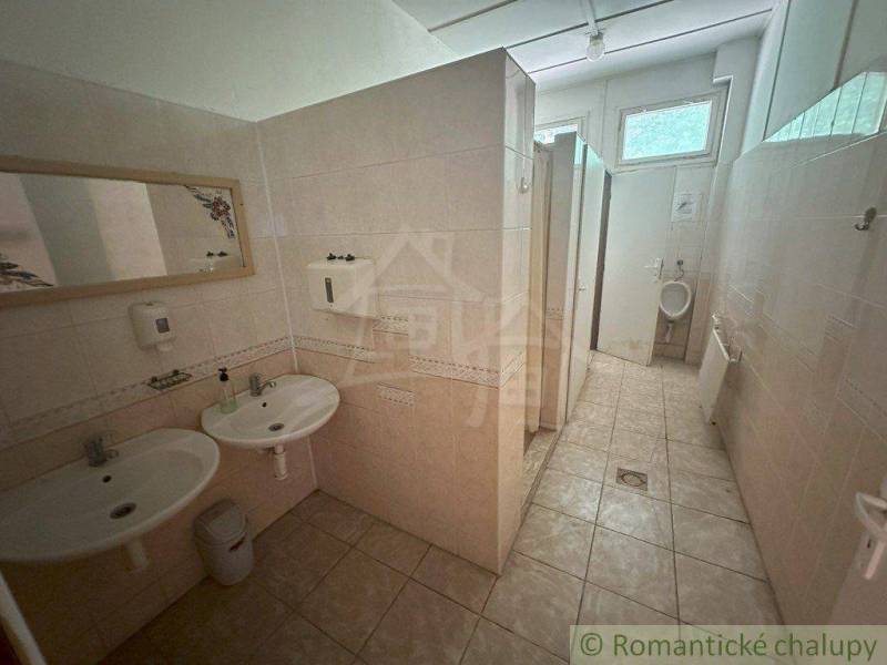 A bathroom in a family house with sinks, toilets, and a window.