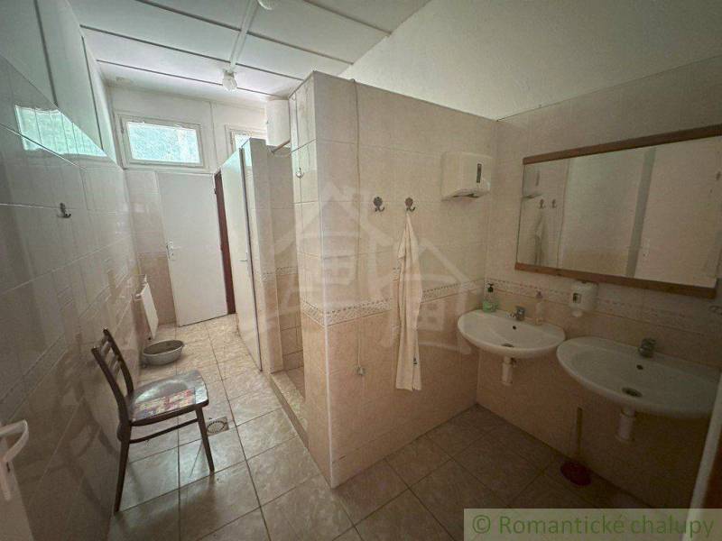 A bathroom in a family house with two sinks, a mirror, and a shower.