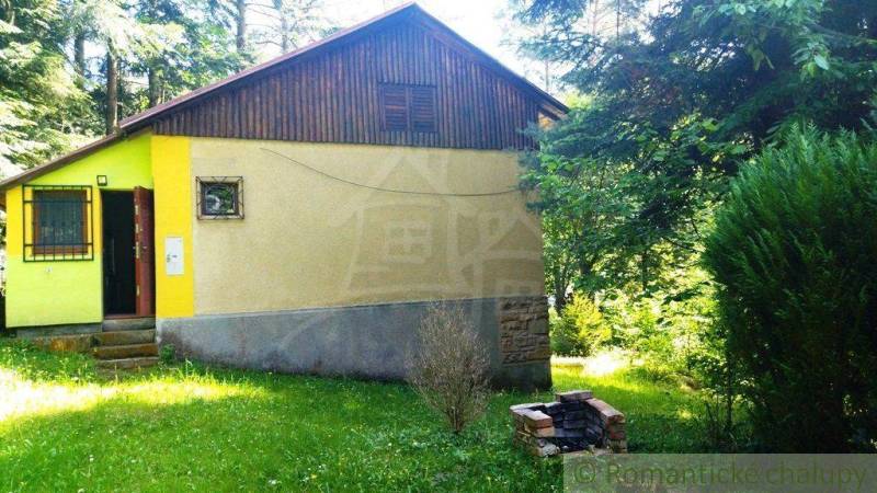 A cottage in Drienica surrounded by greenery, with a fireplace and simple rustic design.