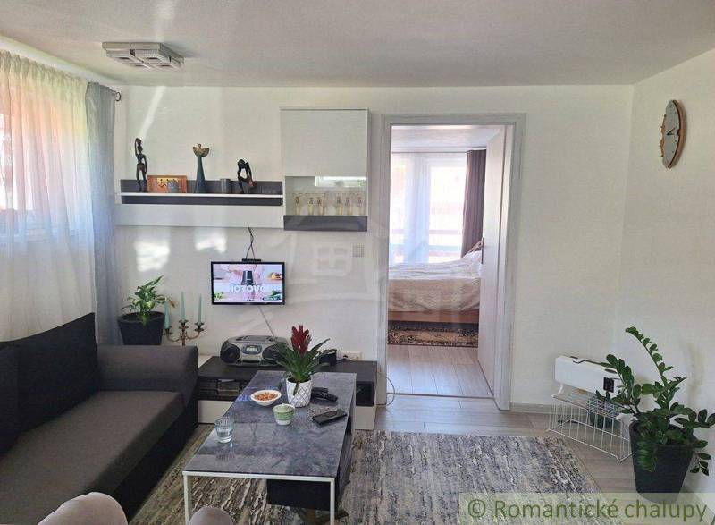 Living room in a family house with decorations, TV, and a view into the bedroom.