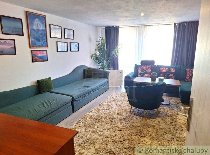 Living room in a family house with a sofa, decorations, and a plant.