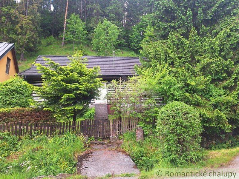 A family house in Ružomberok surrounded by lush greenery and dense forest.