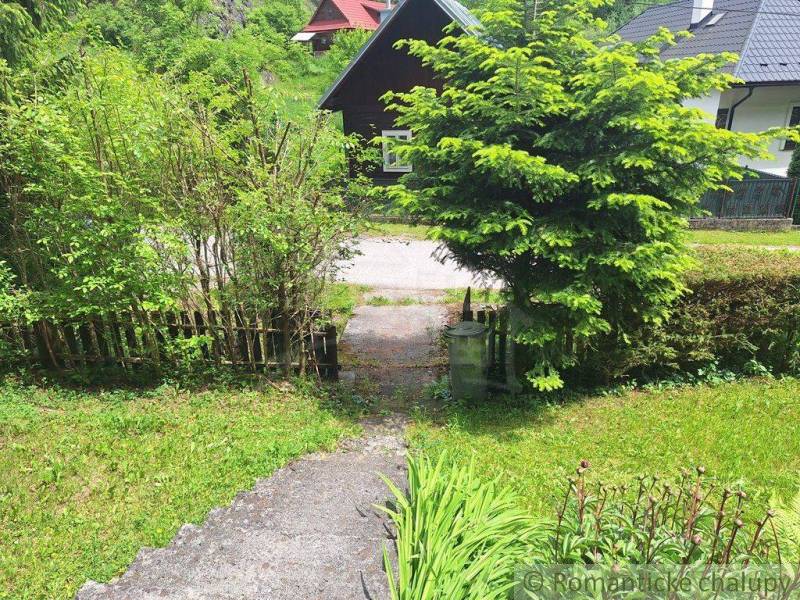 A garden by a family house in Ružomberok with a path and a bush.