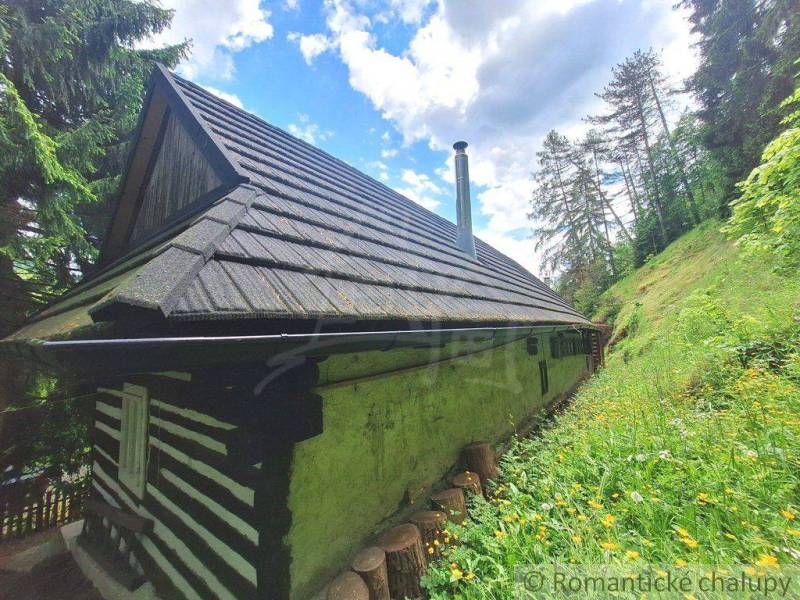A wooden family house in Ružomberok surrounded by a flowery meadow and spruce trees.