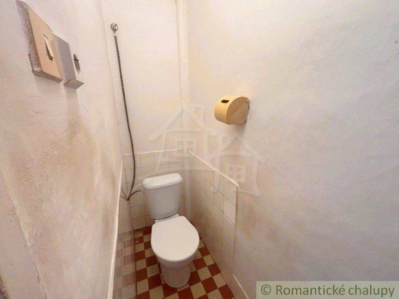 Small bathroom in a family house with a toilet and shower, white wall, tiles.