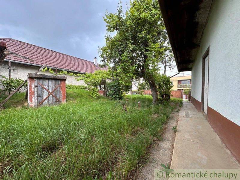 A garden by the cottage in Nové Zámky with grass, a tree, and a wooden structure.