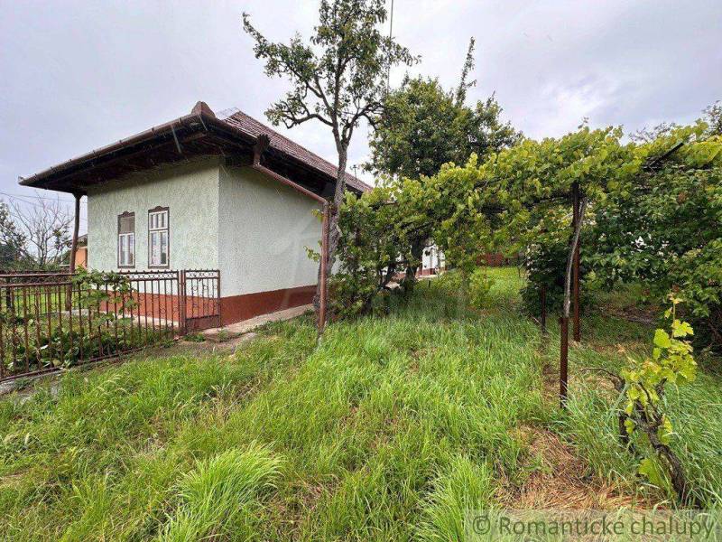 A cottage in Nové Zámky with a grassy garden, vines, and trees, enclosed by a metal fence.