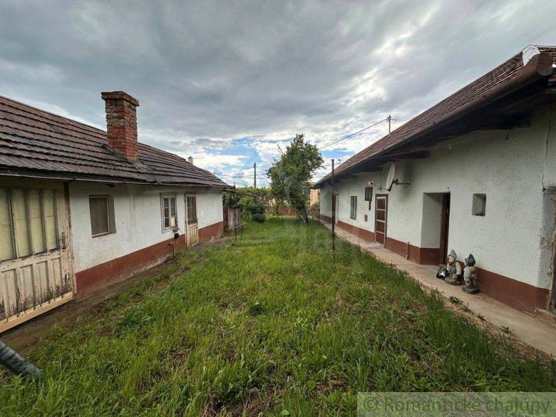 The garden of two buildings near the cottage in Nové Zámky covered with grass, a tree in the middle.
