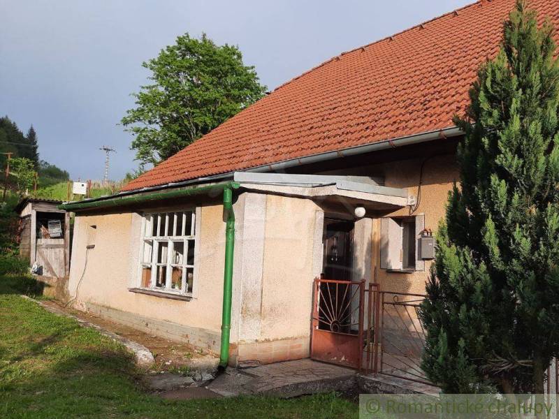 A family house in Žiar nad Hronom with a red roof and a garden.