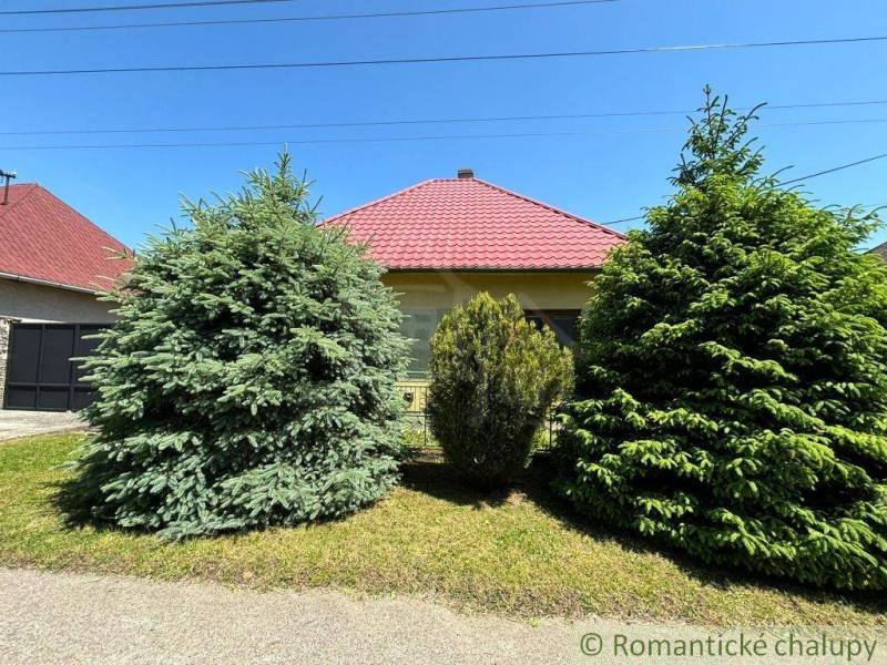 A family house in Dvorníky, surrounded by green conifers and a lawn under a blue sky.