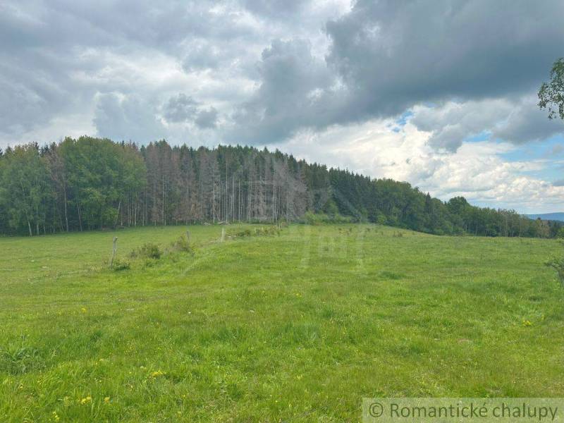 Vast meadows in the Gardens near České Brezové with a forest and dramatic sky.