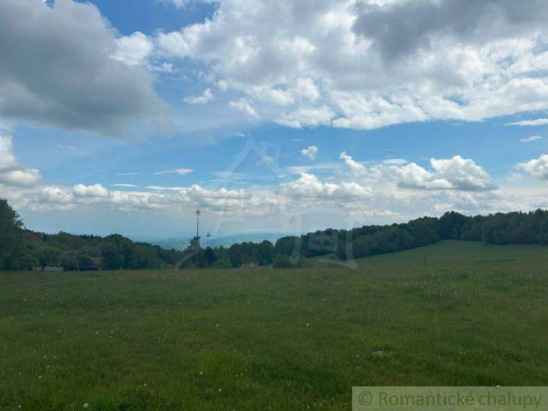 A vast meadow in the Gardens near Český Brezov, surrounded by trees and a blue sky.