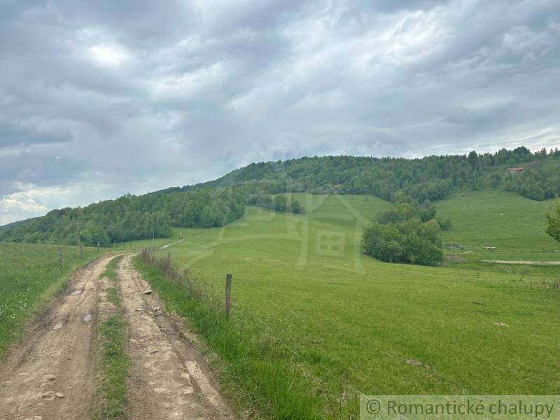 A country road in České Brezová surrounded by green meadows and forest gardens.