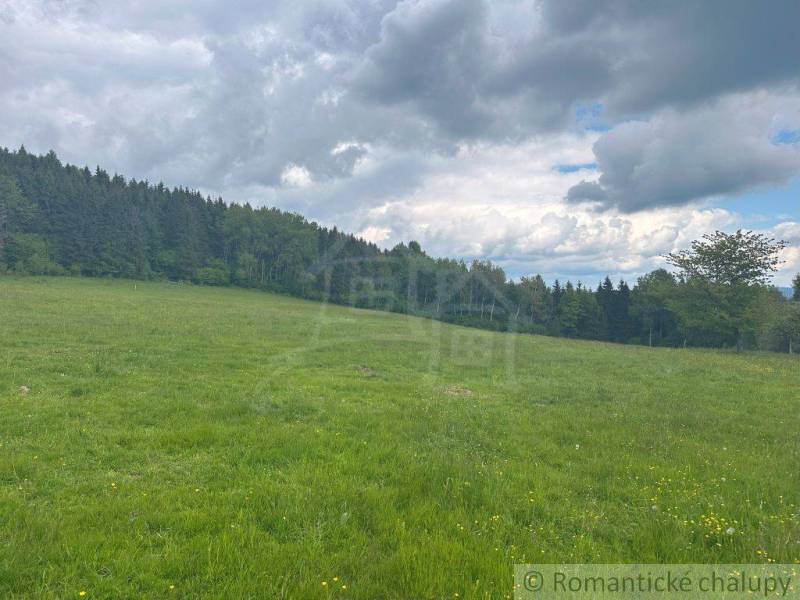A meadow with trees and clouds in the gardens of Český Brezov.