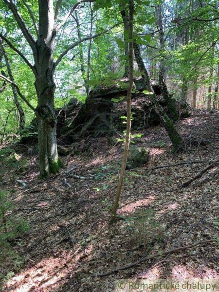 Forest scenery in the gardens of Český Brezov with dense vegetation and stones.