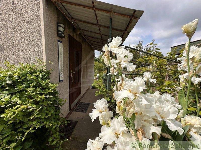 A cottage near Nové Zámky with white flowers in front of the entrance and green vegetation.
