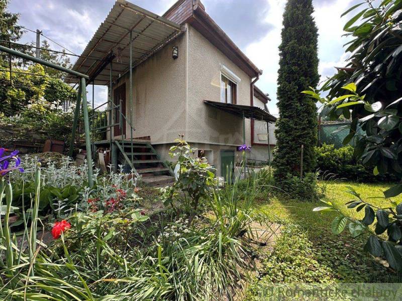 The garden by the cottage in Nové Zámky, flower beds and steps in the shade.