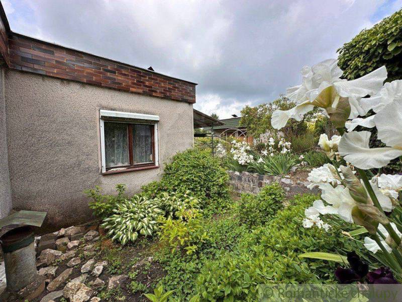 A garden by the cottage in Nové Zámky with flowers and greenery.