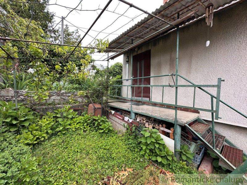 The exterior of the cottage in Nové Zámky with stairs, vine growth, and greenery.