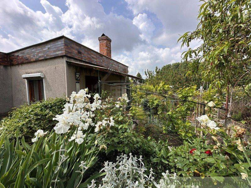 A cottage in Nové Zámky with a rich garden, flowers, and greenery under the summer sky.