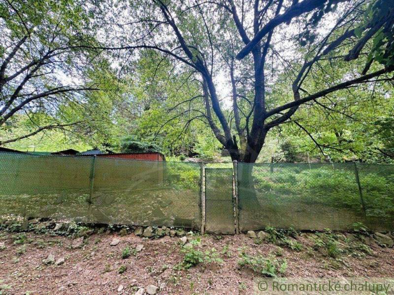 The roof of the cottage in Bratislava - Lamač behind the green fence and under the big tree.