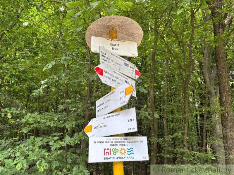 Tourist signposts in the forest near Lamač, Bratislava. Autumn atmosphere, green leaves.