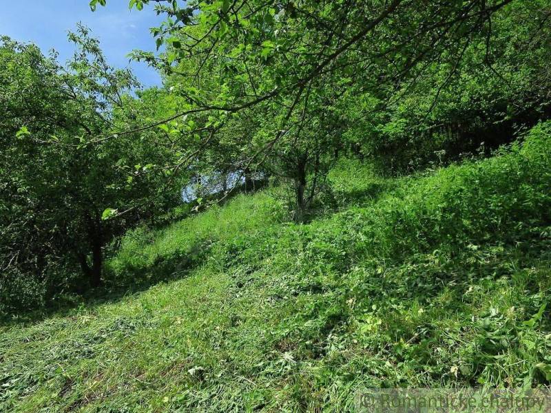 Greenery and trees in a sloping garden in Hačava near the family house.