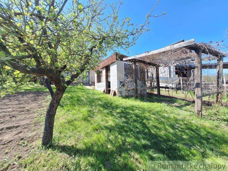 A garden by the cottage in Nové Zámky with a wooden pergola and a fruit tree.