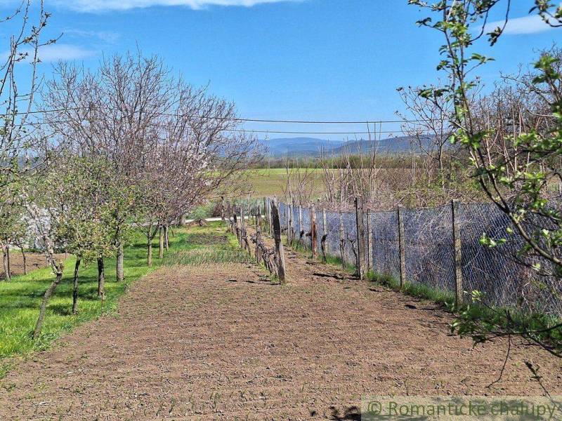 A garden with fruit trees and a fence near a cottage near Nové Zámky.