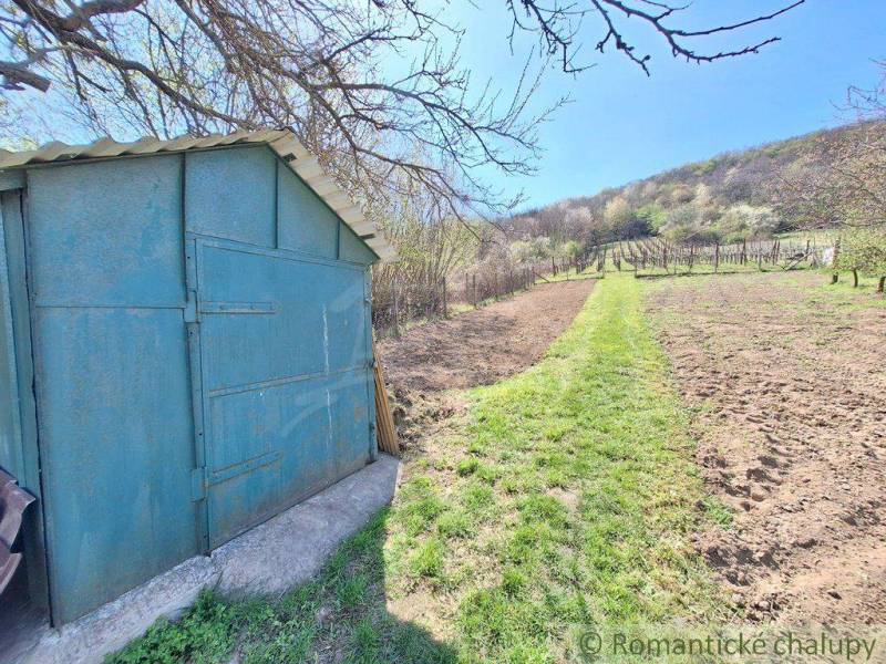 A tin cottage on a sloping plot with a vineyard in Nové Zámky.