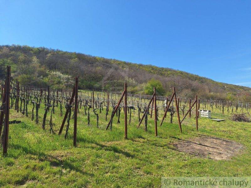 Vinica near Nové Zámky surrounded by green hills and a blue sky.