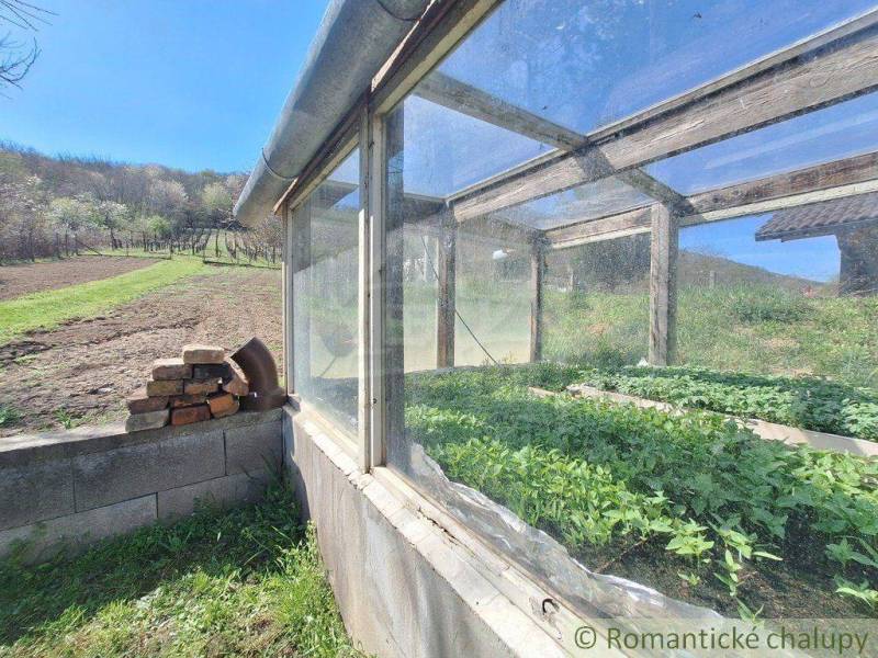 Greenhouse at the Cottage near Nové Zámky with plots and vegetables.