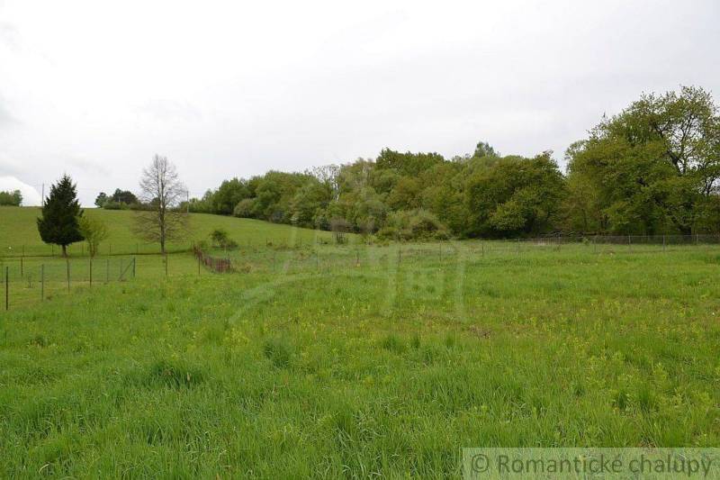 Greenery in the gardens of Kečkoviec with a fence and trees on the horizon.