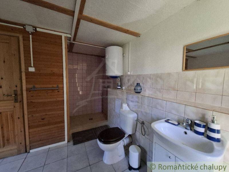 Bathroom in a cabin with a shower, sink, and toilet in wooden paneling.