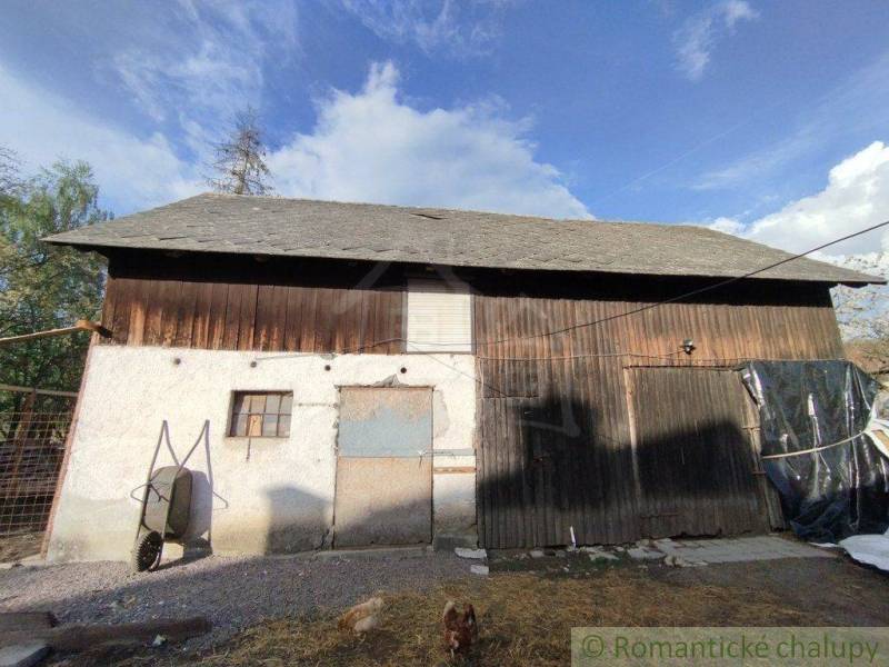 An older wooden building and a family house with a metal roof, next to a horse and a dog.
