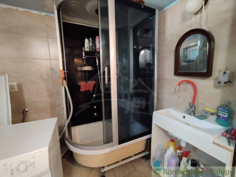 Bathroom in a family house, shower corner, sink with mirror, and cleaning products.