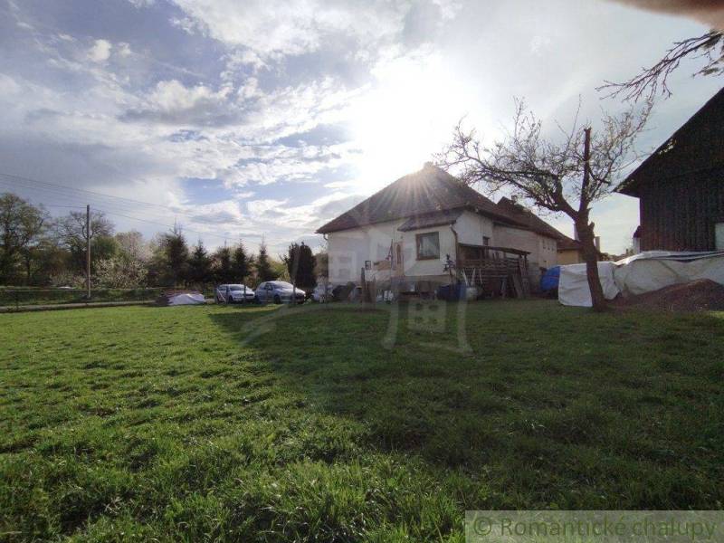 A grassy plot with a beautiful rural view, a tree, and a family house in the countryside.