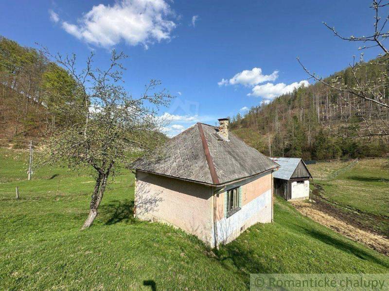 A cottage amidst greenery with mountains in the background. Rural landscape and family house.