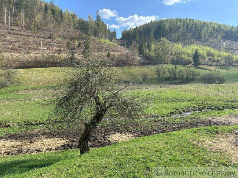 A picturesque rural landscape with meadows, trees, and gentle slopes creates a peaceful view.