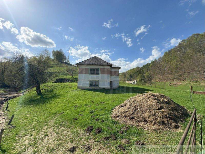 The family house stands on a green meadow, surrounded by trees and a blue sky.