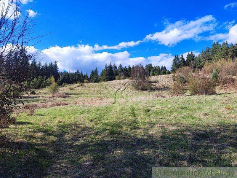 A country with green meadows and dense forest, surrounded by the sky and soft clouds.