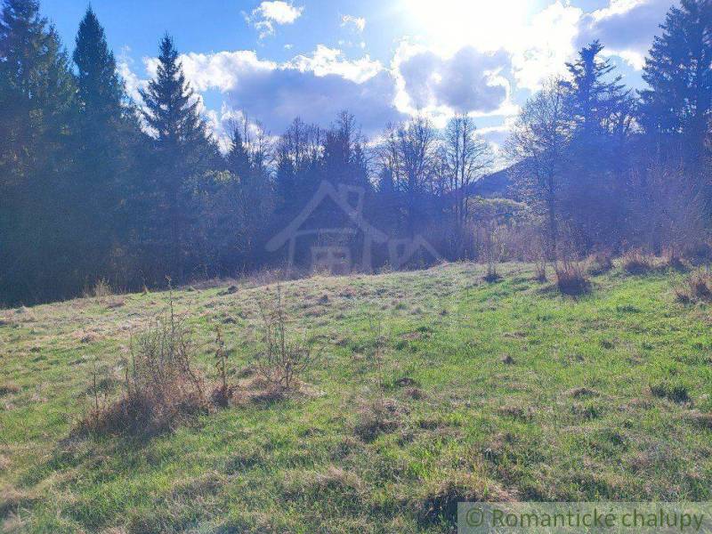 A vast meadow landscape surrounded by forests with hills on the horizon, ideal for gardens.
