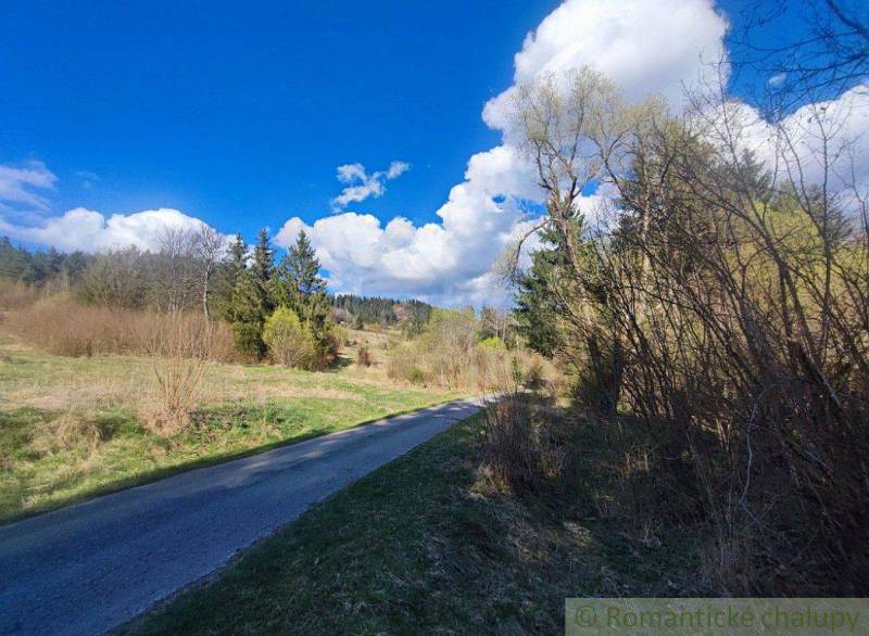 A winding road lined with trees and grass leads through a peaceful landscape under a blue sky.