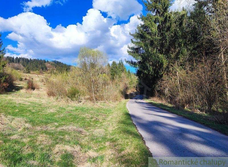 A peaceful forest path surrounded by trees and a blue sky, perfect for romantic walks.