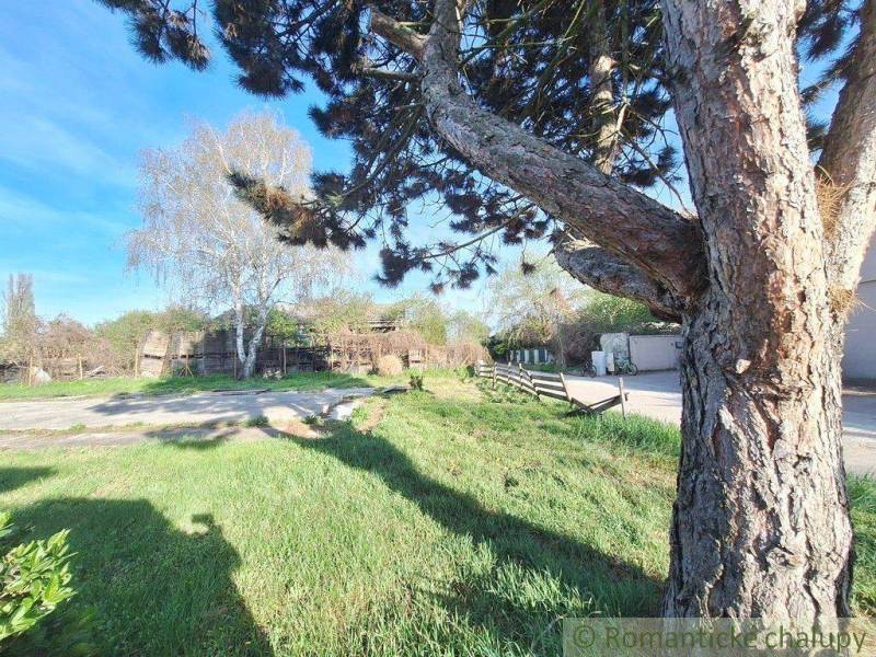 A spacious plot offers an opportunity for living, surrounded by greenery and trees.