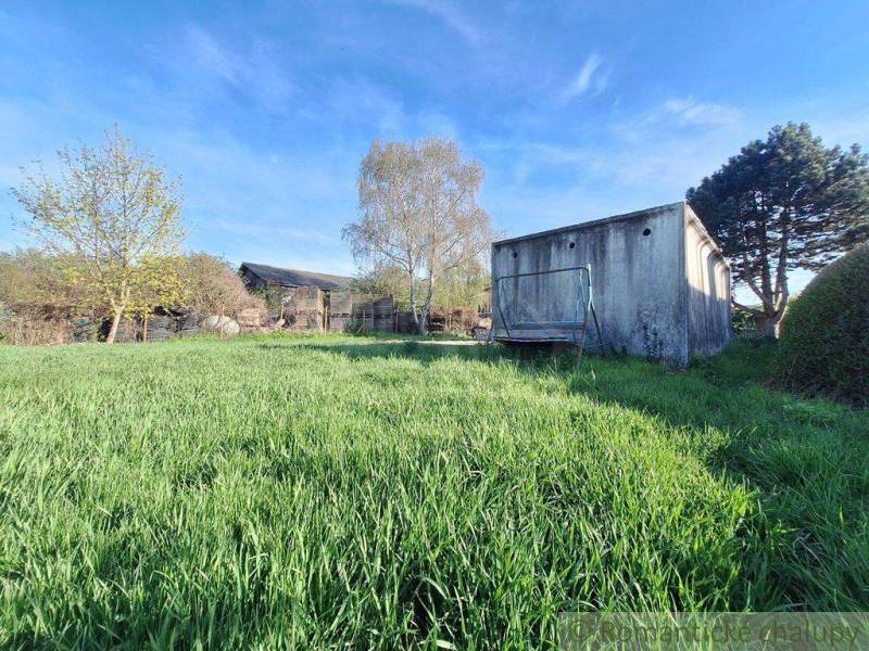Well-maintained land with grass, trees, and an old building, suitable for living and recreation.