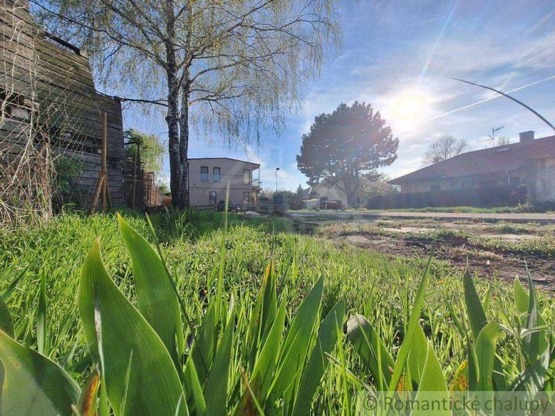 The greenery of the garden and the sunny weather complement the view of the houses and plots.