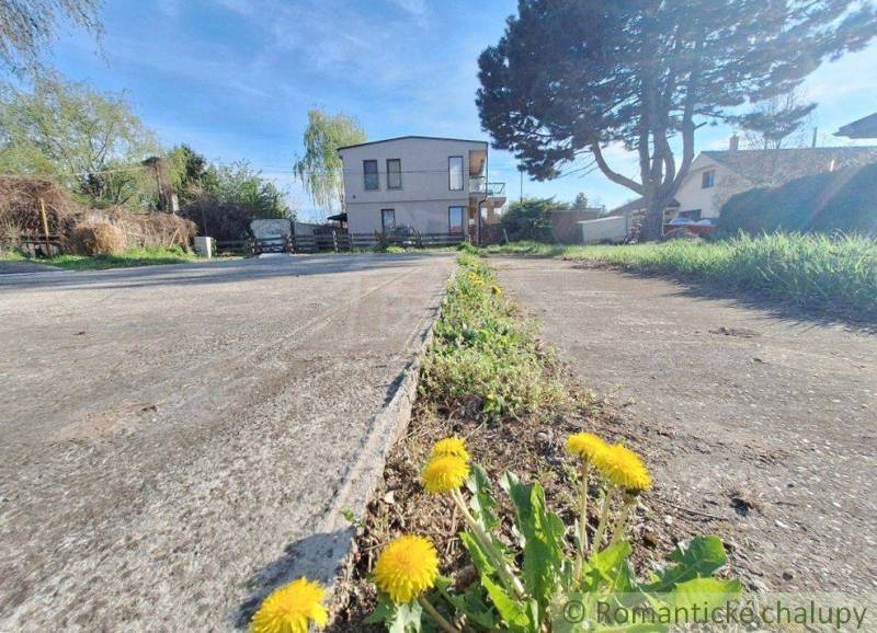 A country house on a plot with dandelions, surrounded by trees, suitable for living.