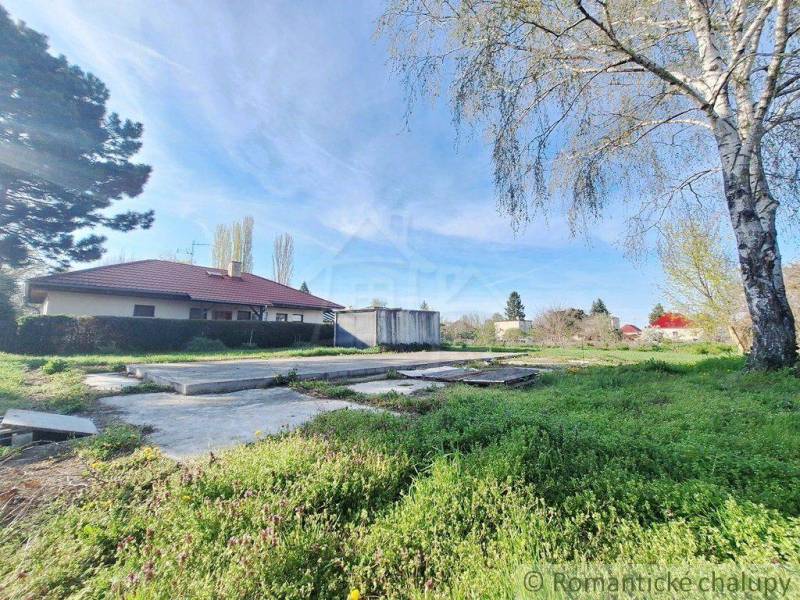A grassy plot with a bungalow surrounded by trees, ideal for living in nature.